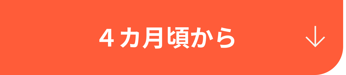 生後2~5ヶ月
